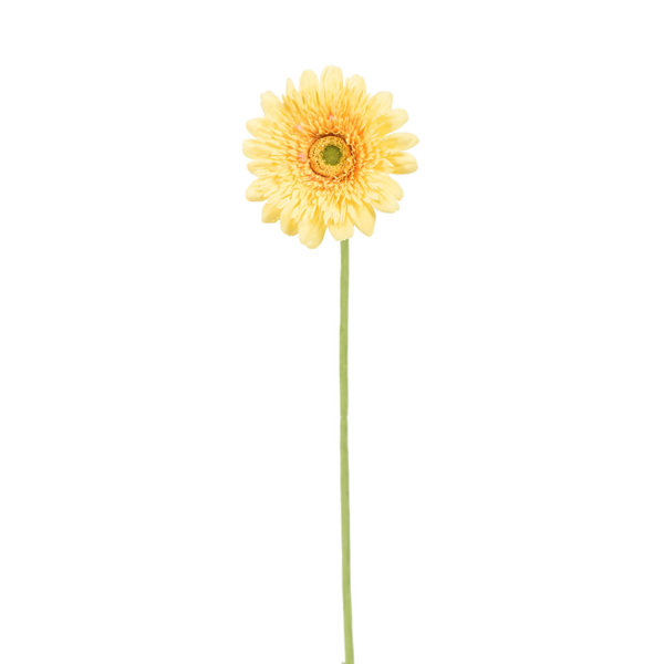 House of Hampton Artificial Gerbera Daisies Stem & Reviews Wayfair.ca
